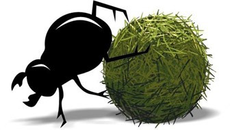 Sit die bol aan die rol!